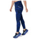 Asics Γυναικείο κολάν Road Lite Show Tights